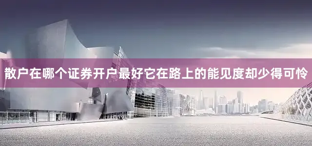 散户在哪个证券开户最好它在路上的能见度却少得可怜