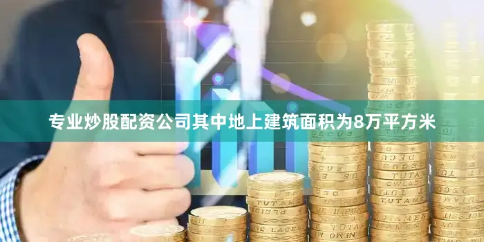 专业炒股配资公司其中地上建筑面积为8万平方米